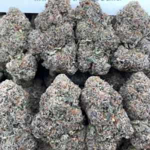 #E38B Mochi Madness π‘