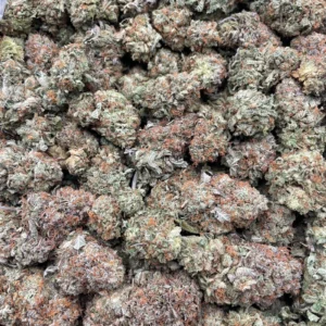 #F3A Purple Plats 🧞