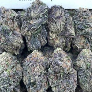 #F32B Cream Puff ☁️