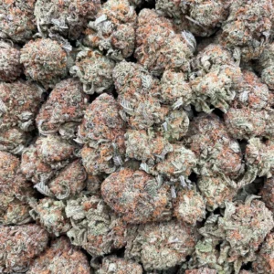 #G15B Bubba Queen 👸